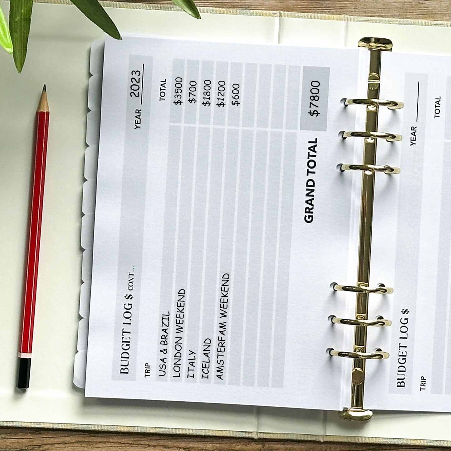 Trip Budget/Budget Log Ultimate Travel Journal Insert